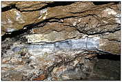 Achsel- und Flecktrogalm, Bergbau im Hollersbachtal (c) ulf laube