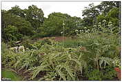 National Botanic Gardens of Ireland (c) ulf laube