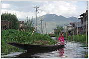 floating gardens, Inle Lake (c) ulf laube